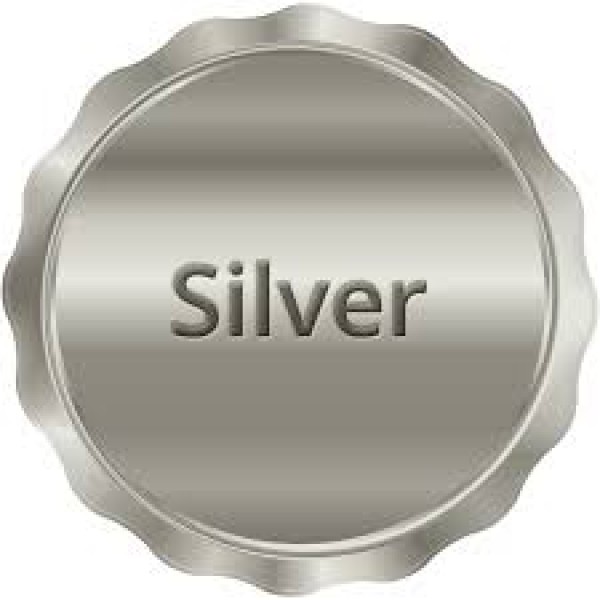 Silver Plan