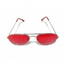 Vision Plus Silver Red Full Rim Aviator Sunglasses