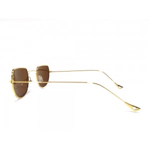 Vision Plus Gold With Purple Half Rim Round Sunglasses