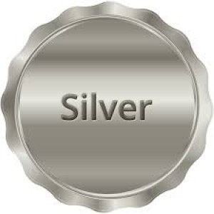 Silver Plan