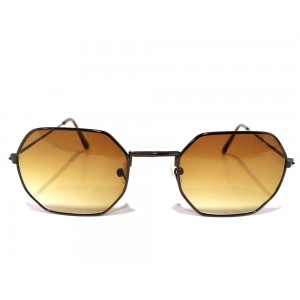 Vision Plus Brown Half Rim Round Sunglasses